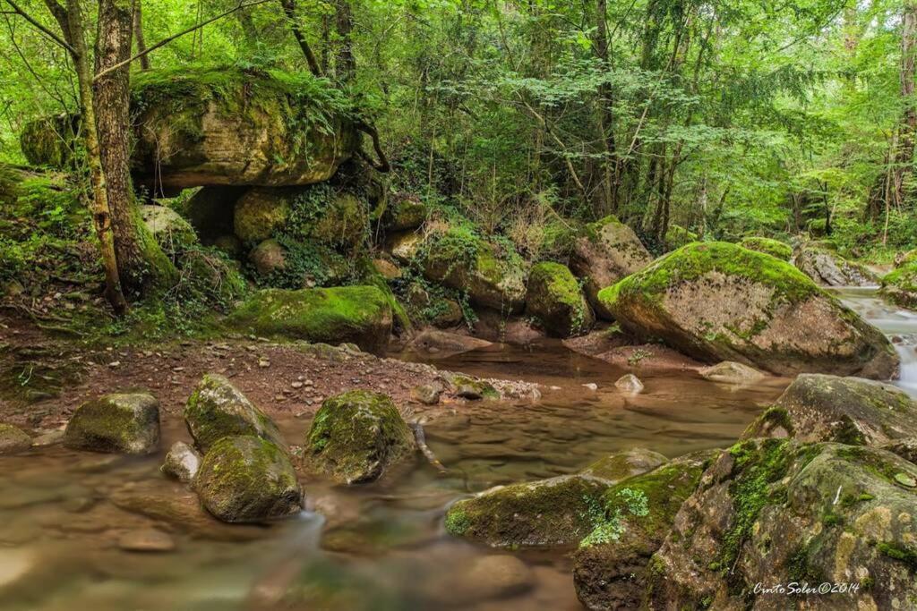 La Badenca. Masia Catalana Del S. XVIIRiudaura エクステリア 写真